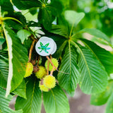 OSU® Helmet Decal Circle Claw - Fizzy