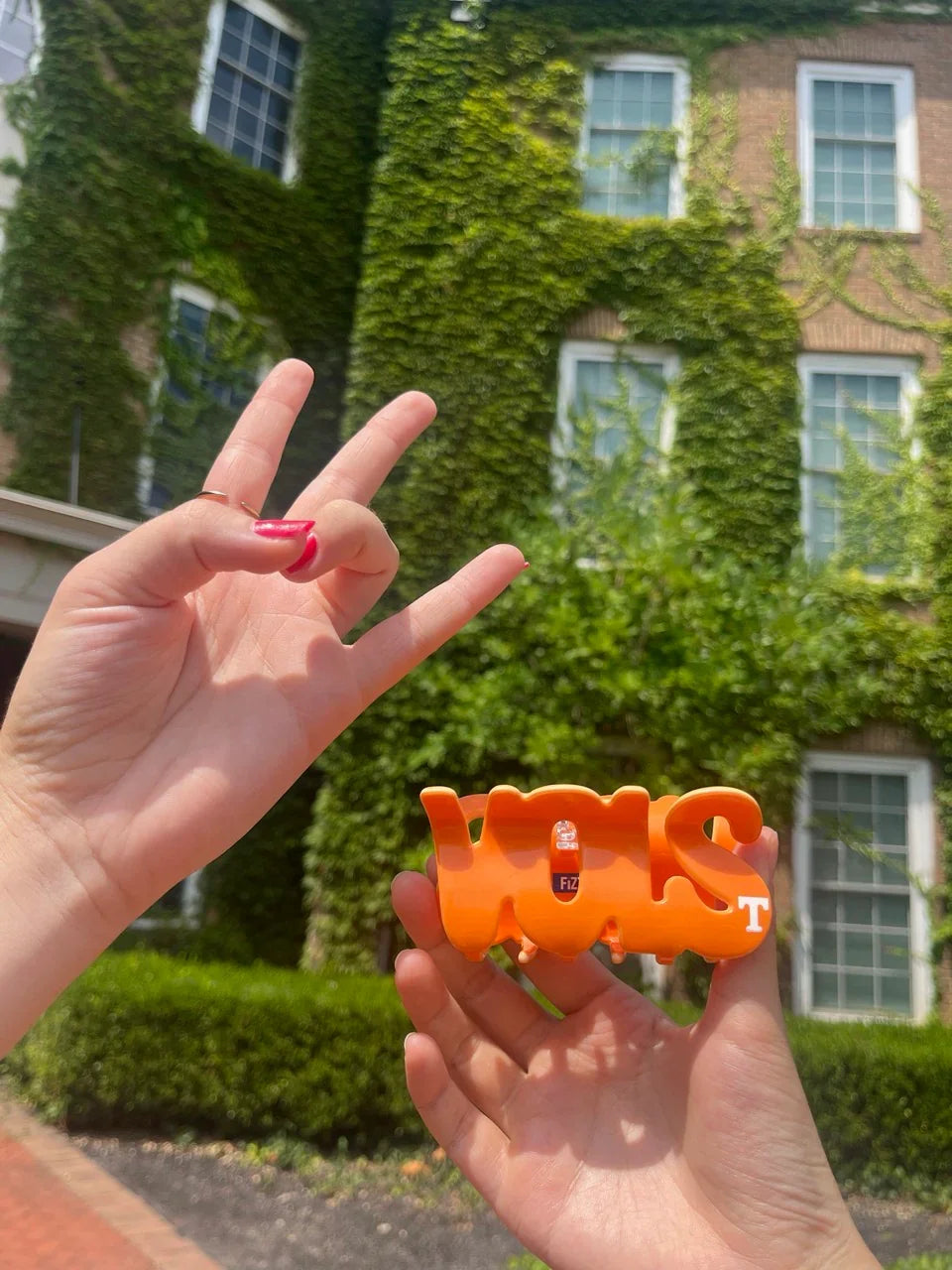 Tennessee® VOLS Word Claw - Fizzy